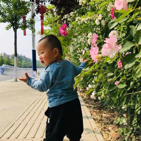 我的小宝贝