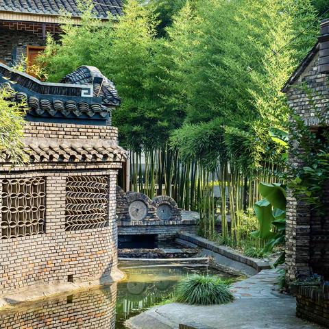 夏意悠扬   醉美柯园