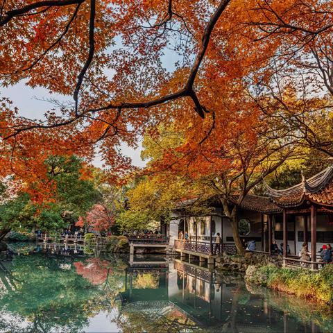 惠山寻秋，邂逅最美秋色