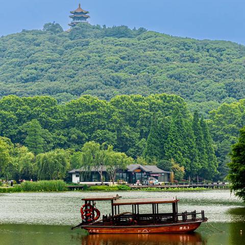 夏日花菖蒲，缤纷鼋头渚