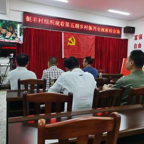 挺丰村学习第五期《乡村振兴电视夜校》探讨乡村治理