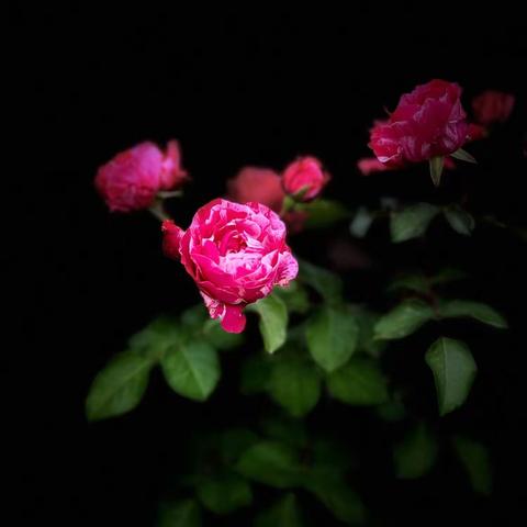 老有所为 最美夕阳红｜安徽滁州分行离退休人员"我与工行四十年"作品鉴赏