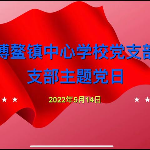 能力提升建设年｜“五月党旗别样红”——博鳌镇中心学校开展五月党支部主题活动