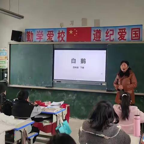 浦东街道办事处前张学校语文教研组张自勤的公开课4月4日-白鹅