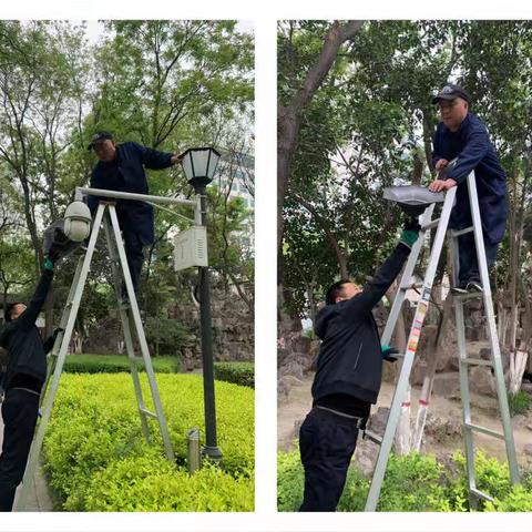 公园维修组常态化管理日志