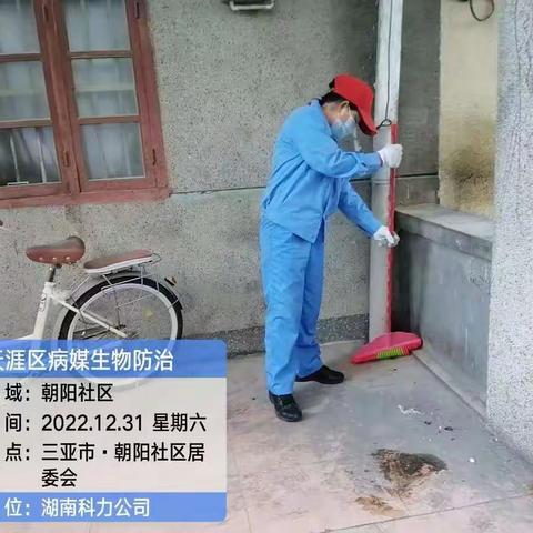 2022年12月31日三亚市天涯区南海片区病媒生物防制工作情况