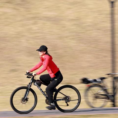于苦难中，静候花开