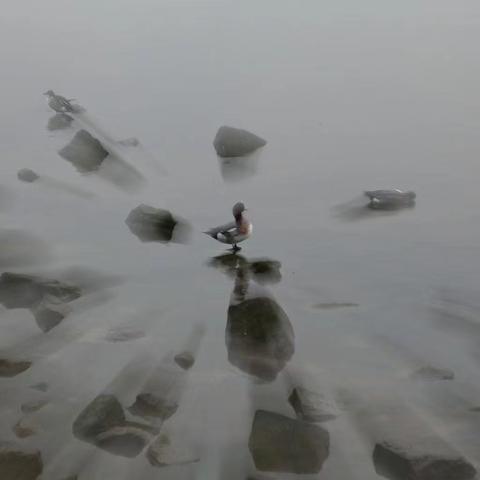 香祈顺遂，足伤意外