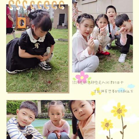 🌟点滴生活，快乐成长🌟