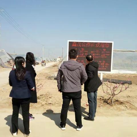 加强智慧大棚建设，发展现代农业