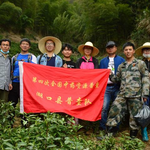 把诊中华大地中草药资源~~2020年首次全国中草药湖口县普查队随行纪实片段