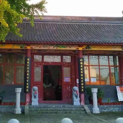 拜谒华山古寺 千年银杏
