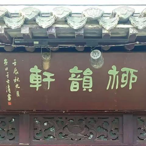 柳岸春风
