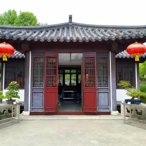 市花杜鹃  花漾南山