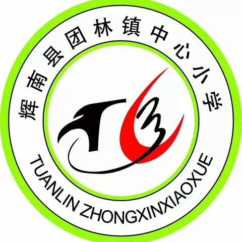 研讨主题学习，绽放语文美丽——团林小学语文主题学习教研活动