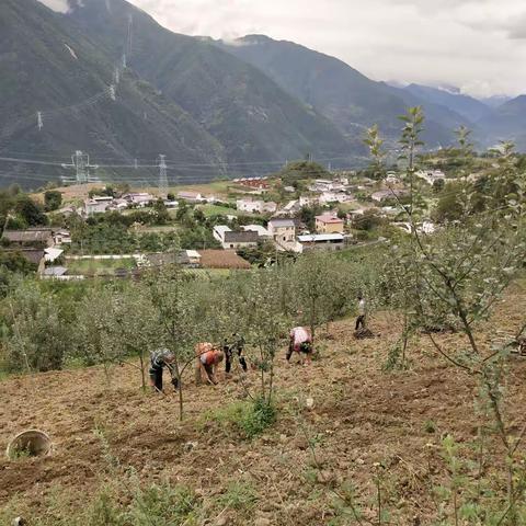 大山的主人。的美篇