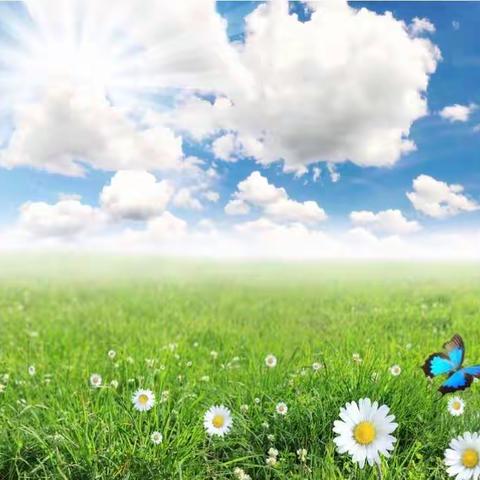 集思广益，助力“空中课堂”稳飞稳落---宁东学校小学部语文教研组开展“空中课堂”实效性网络交流研讨会