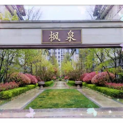 ☀️您的满意是我们无限的动力