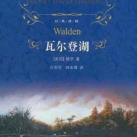 【宝电子校读书会】让阅读点亮教师的成长之路（3）——在自己的节奏里，过好这一生