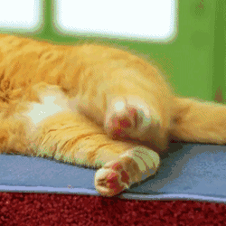 红景天奶蓟草片提醒：肝脏从不轻易吭声！当身体出现这6个症状，说明肝真的撑不住了！