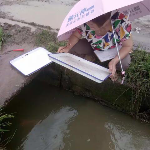 雨可以停  婺城农林服务三农不能停！