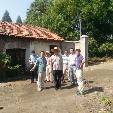 婺城农林迅速出击 开展高温隐患大检查