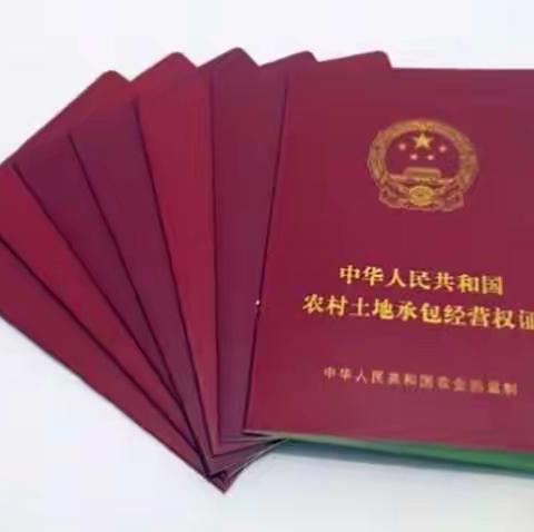 婺城区土地确权进度（11.8-11.14）