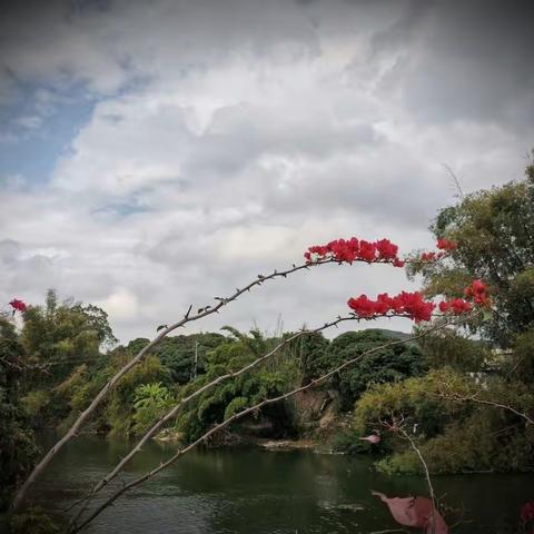 钦州市钦北区新棠镇那黎湾村《党建引领，推进乡村振兴，造福群众》——那黎湾理事会宣