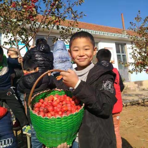 辛安镇第二小学举行海棠果校园采摘节