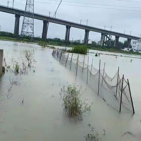 雨季护路巡查