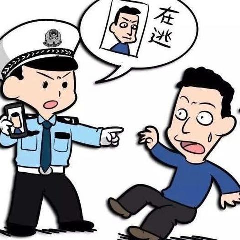 抚宁特巡警大队成功抓获一名网上逃犯