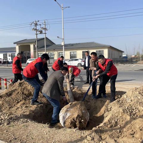 乔庙镇：春季义务植树活动，践行绿色文明理念