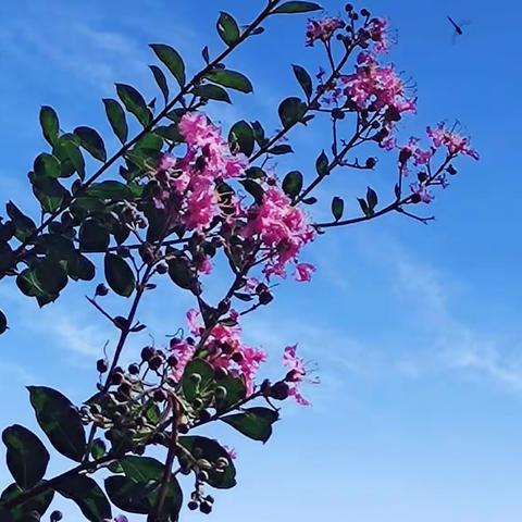 处署—署气至此而止