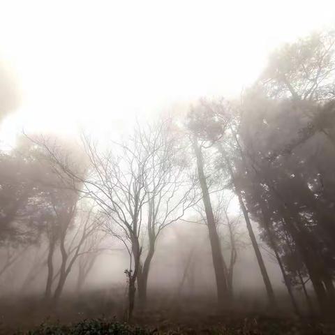 云深不知处———庐山