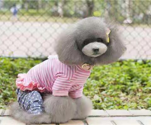 身无分文最快赚钱方法,一万元小型加工厂项目