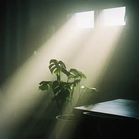 《生命的幽光》