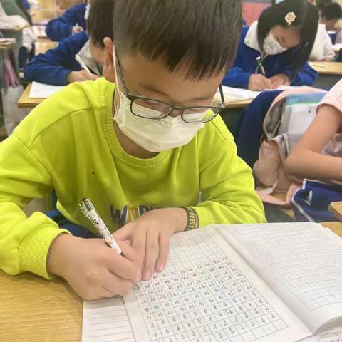 六年级书法总汇