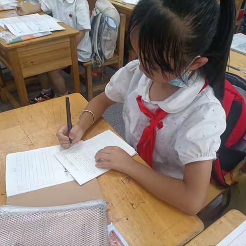 三年级书法总汇