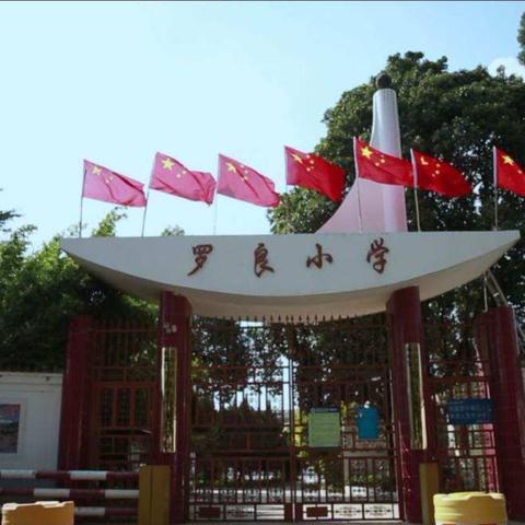 杨林镇罗良小学2020年一年级招生公告