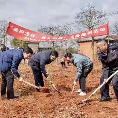 森林分局党支部联合新法制报社党支部开展践行“雷锋精神”暨庆祝植树节义务植树活动