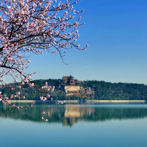 2023京城追春系列——颐和园春色