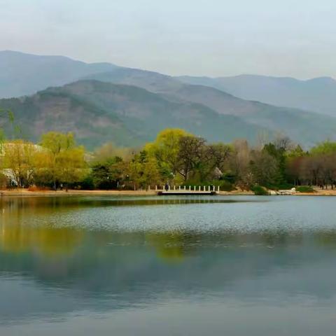 2023京城追春系列——国家植物园是个百花园