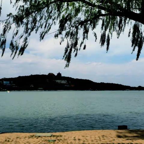 颐和园——四月春风吹满园