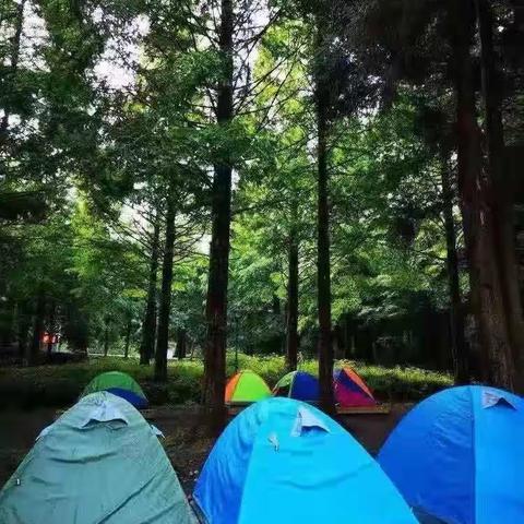 那座山，我真心驰神往