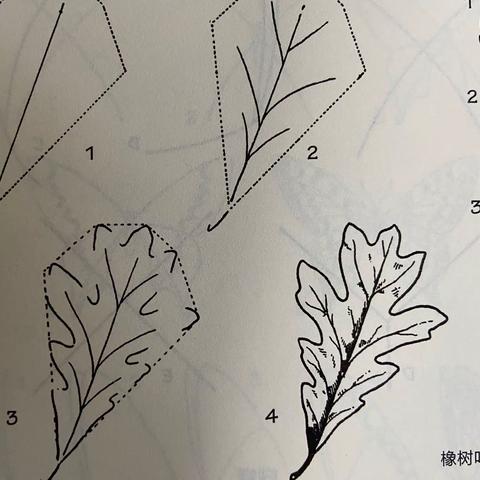 花草简笔画