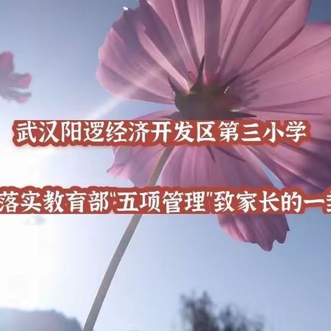 武汉阳逻经济开发区第三小学关于落实教育部“五项管理”致家长的一封信