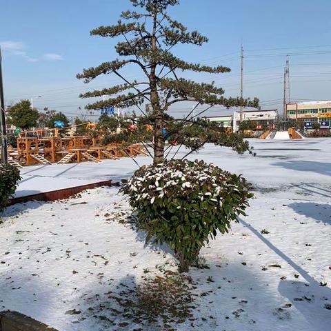 “疫”情期·淳美教师成长篇（三）不惧疫情,抱团成长