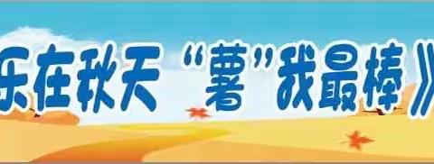 《乐在秋天，“薯”我最棒》中c班社会实践
