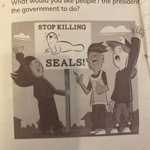 Stop killing seals