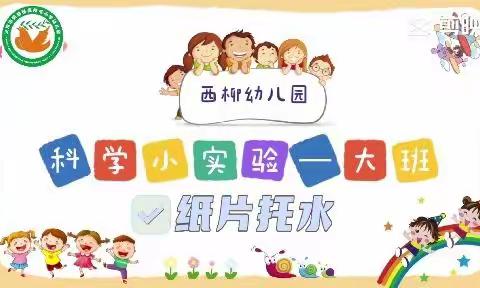 【西柳幼儿，玩转科学】西柳幼儿园科学领域一周精彩纪实